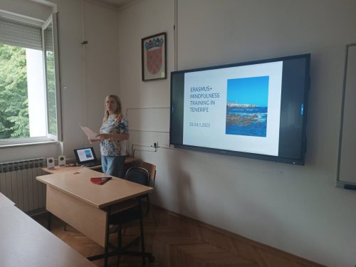 Prof-Manestar-predstavlja-strukturirani-tecaj-na-Tenerifama